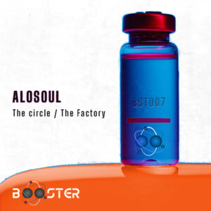 ALOSOUL - The Circle_The Factory